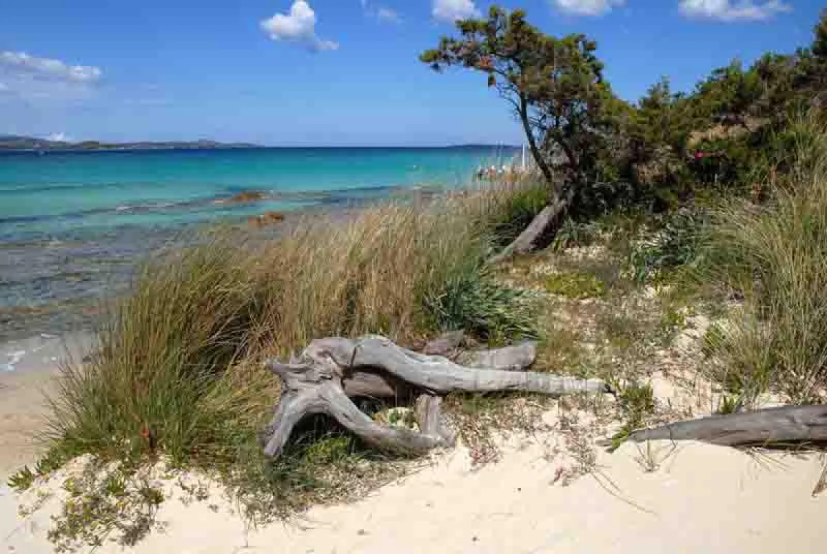 Liscia Ruja: Traumstrand an der Costa Smeralda. © Paolo Succu