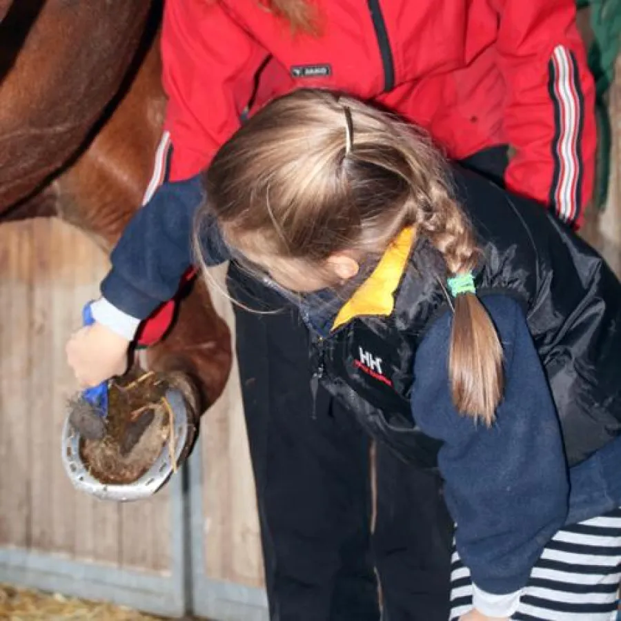 Auch der Umgang mit dem Pferd ist Thema bei der Pferde-Bande