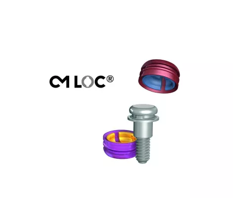 Bild: Ein neuer Massstab in der Prothetik.