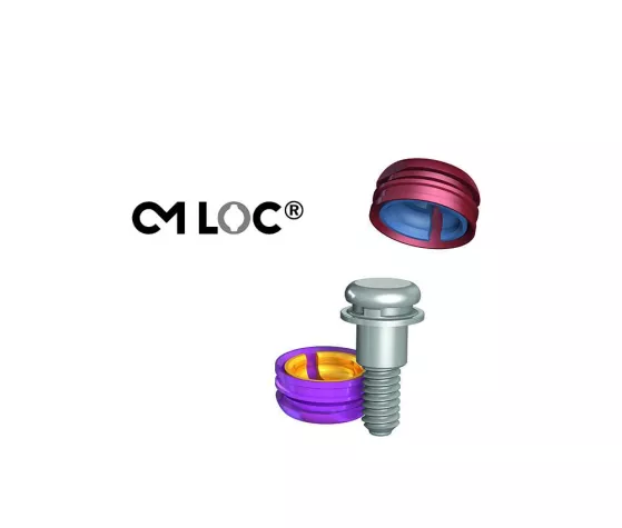 Bild: Ein neuer Massstab in der Prothetik.