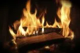 Wozu Holz? Es geht auch anders! Bild: Wozu Holz? Es geht auch anders!