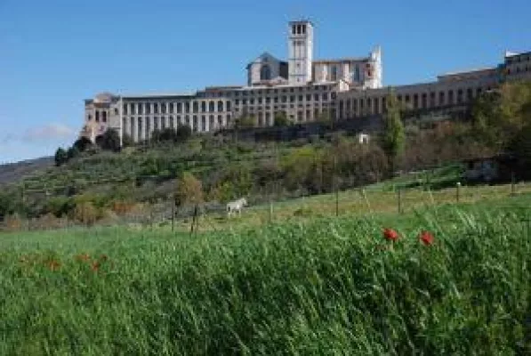 Bild: Trekken auf Assisis Spuren