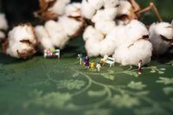 Bild: Wäschereiverbund setzt auf Markenbekenntnis