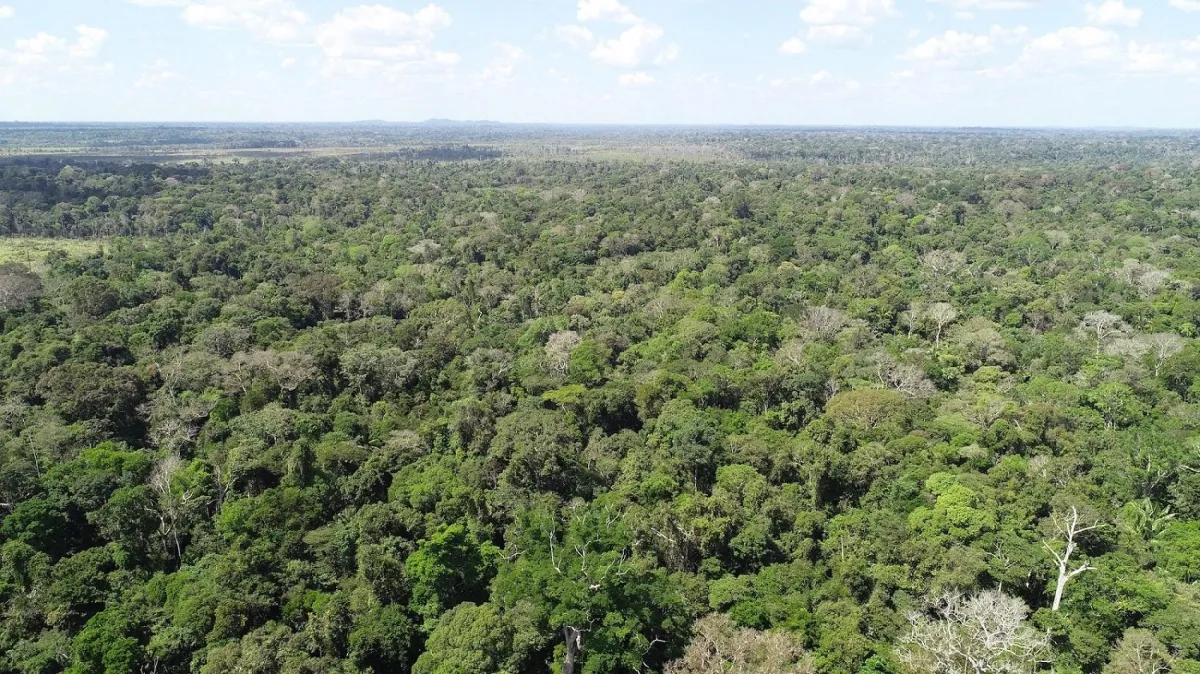 Projektgebiet Jacunda REED in Brasilien; Quelle: ForestFinest Consulting GmbH