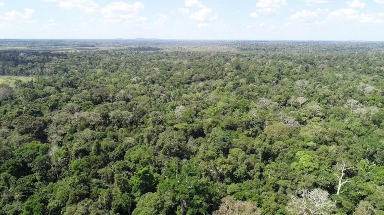 Bild: BearingPoint reist klimaneutral