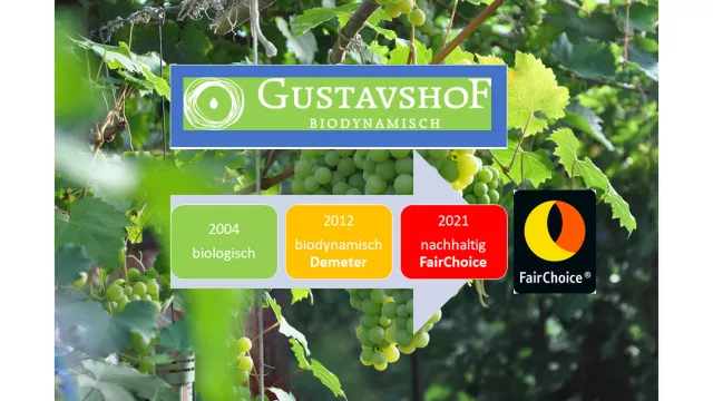 Weingut Gustavshof: Von biologisch zu biodynamisch zu nachhaltig Bild: Weingut Gustavshof: Von biologisch zu biodynamisch zu nachhaltig