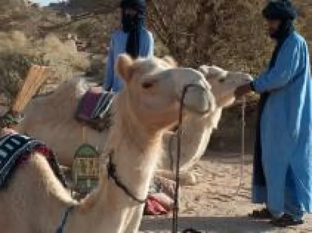 Bild: Algerien / Deutschland Cap Sahara Tours startet Kooperation mit Afrika-Welt-Reisen