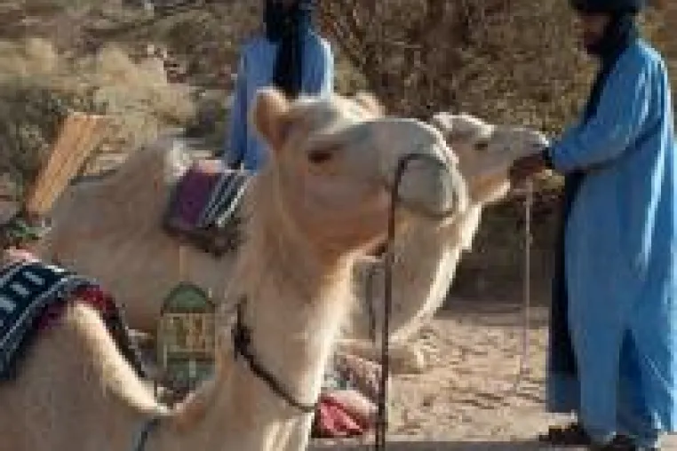 Bild: Algerien / Deutschland Cap Sahara Tours startet Kooperation mit Afrika-Welt-Reisen