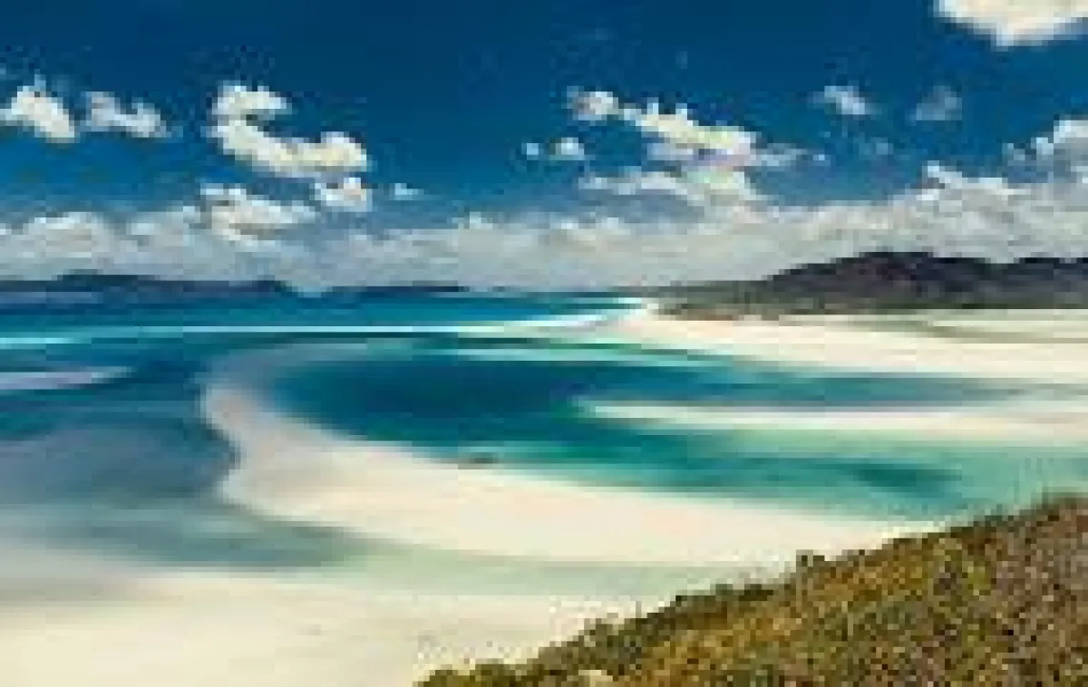 Copyright Andrey Bayda