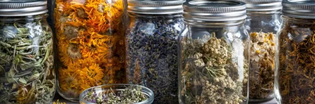 Wenn Medizin den Menschen wieder als Ganzes betrachtet Bild: Wenn Medizin den Menschen wieder als Ganzes betrachtet