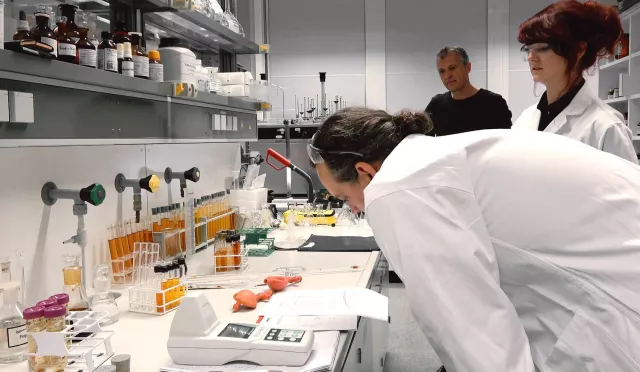 Bild: Studie der Universität Siegen: Guayusa-Tee aus Ecuador stellt Grüntee, Mate und Cola in den Schatten