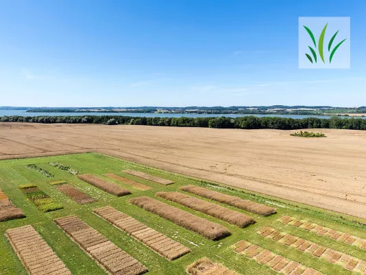Bild: Weniger Schadstoffe im Boden - Versuchsergebnis mit Bakterienprodukten zeigt Absenkungspotenzial!