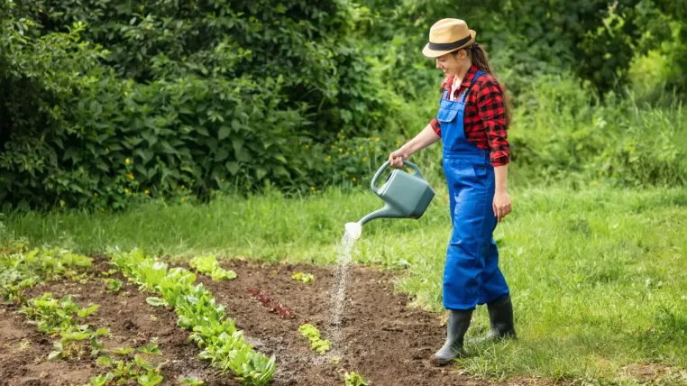 Bild: Jens Schwamborn: Gartenarbeit ist gut für die Gesundheit 