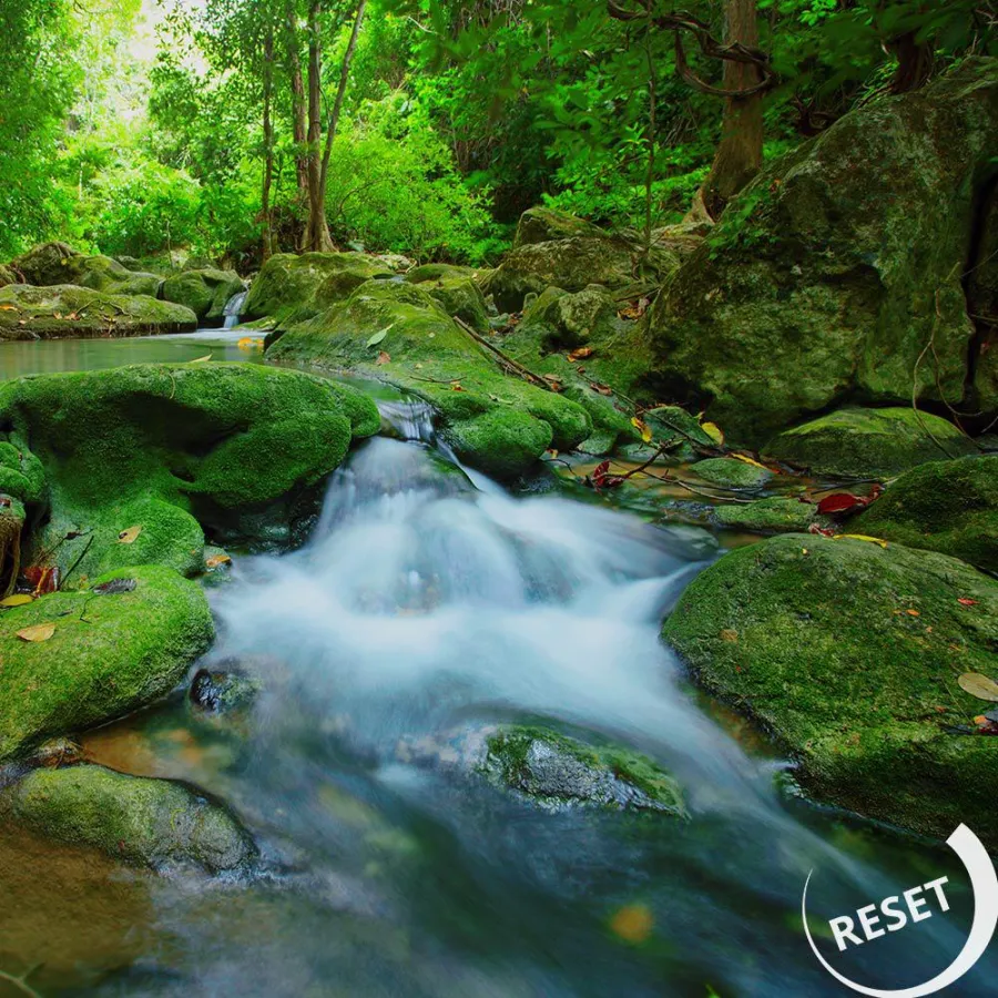 Reset - Achtsam mit sich und der Natur