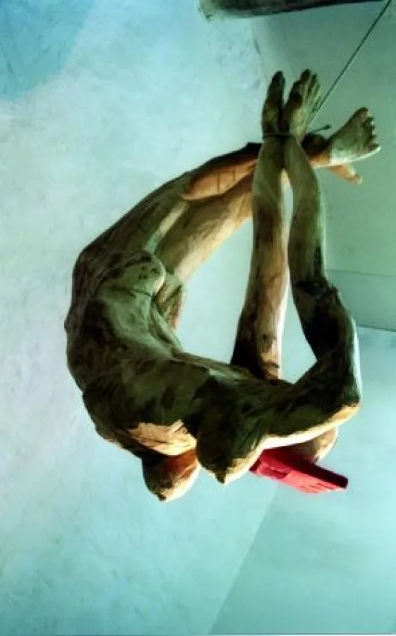 Brele Scholz -Kopie Version 3-