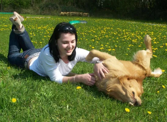 Bild: Familienschutzhund - treuer Begleiter und aufmerksamer Beschützer