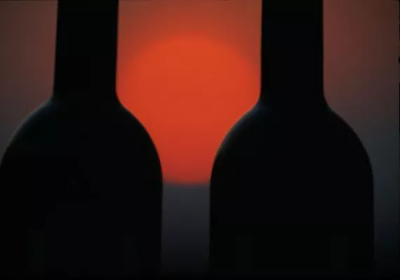 Bild: Besuche bei den Top-Winzern der Wachau