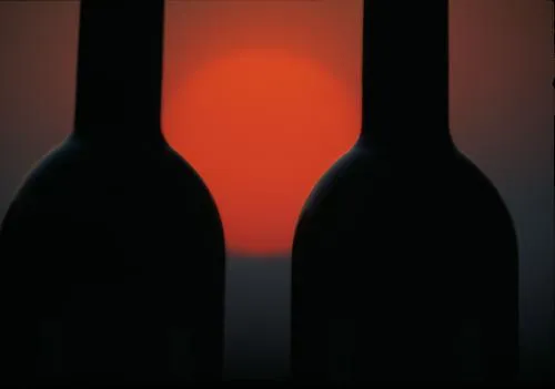 Bild: Besuche bei den Top-Winzern der Wachau