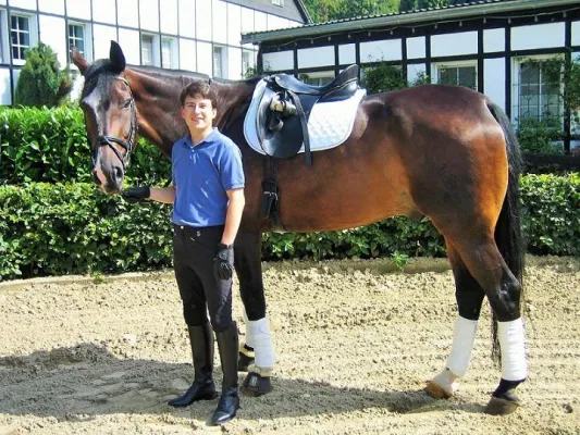 Einbruchserie in Reitställen – Viele Reiter bleiben auf den Schäden sitzen Bild: Einbruchserie in Reitställen – Viele Reiter bleiben auf den Schäden sitzen