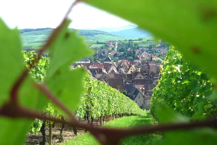 Bild: Ferienhäuser für Gourmets im Elsass