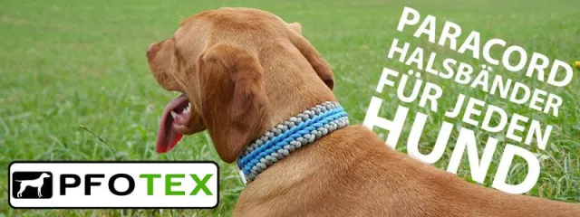 Bild: Klick für Klick zum Wunschhalsband - Onlineshop für Unikate