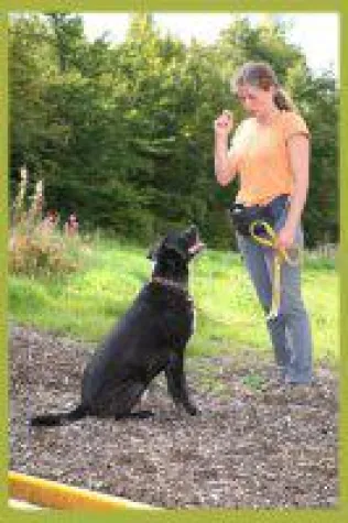 Bild: Hundeschule mit Abruftraining im Urlaub im Hotel im Bayerischen Wald