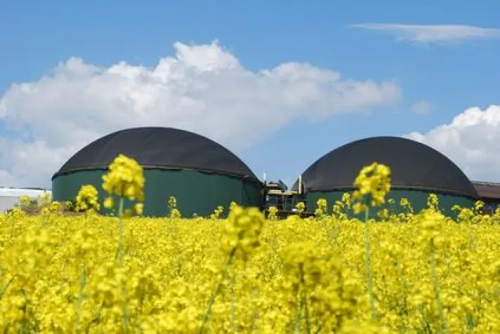 Bild: Biogas - ein boomender Markt