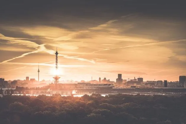Bild: Die beiden Marken Black Label Immobilien und Black Label Properties ziehen für 2017 positive Bilanz