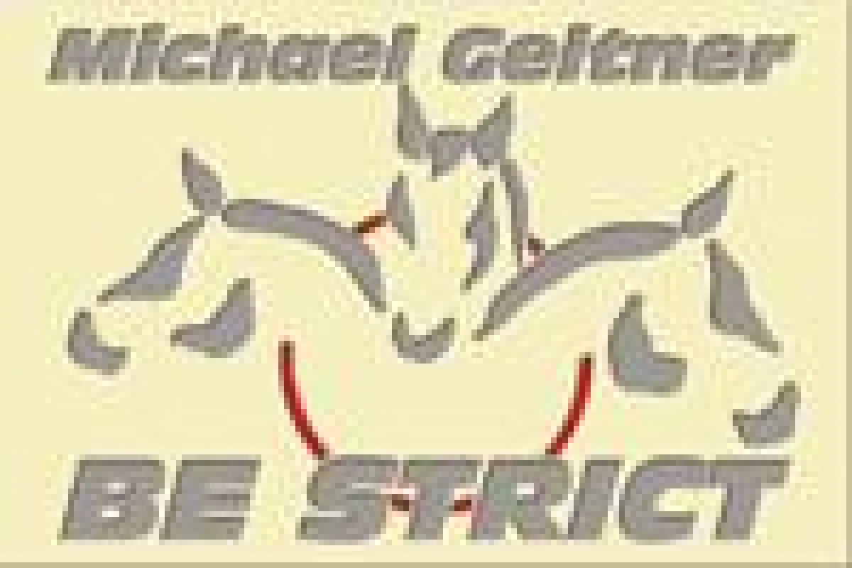 Michael Geitner Pferdetraining
