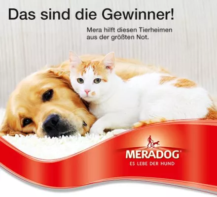 Die Meradog Tierheim-Spenden-Aktion ist entschieden und Mera hat die Futterspende verdoppelt Bild: Die Meradog Tierheim-Spenden-Aktion ist entschieden und Mera hat die Futterspende verdoppelt