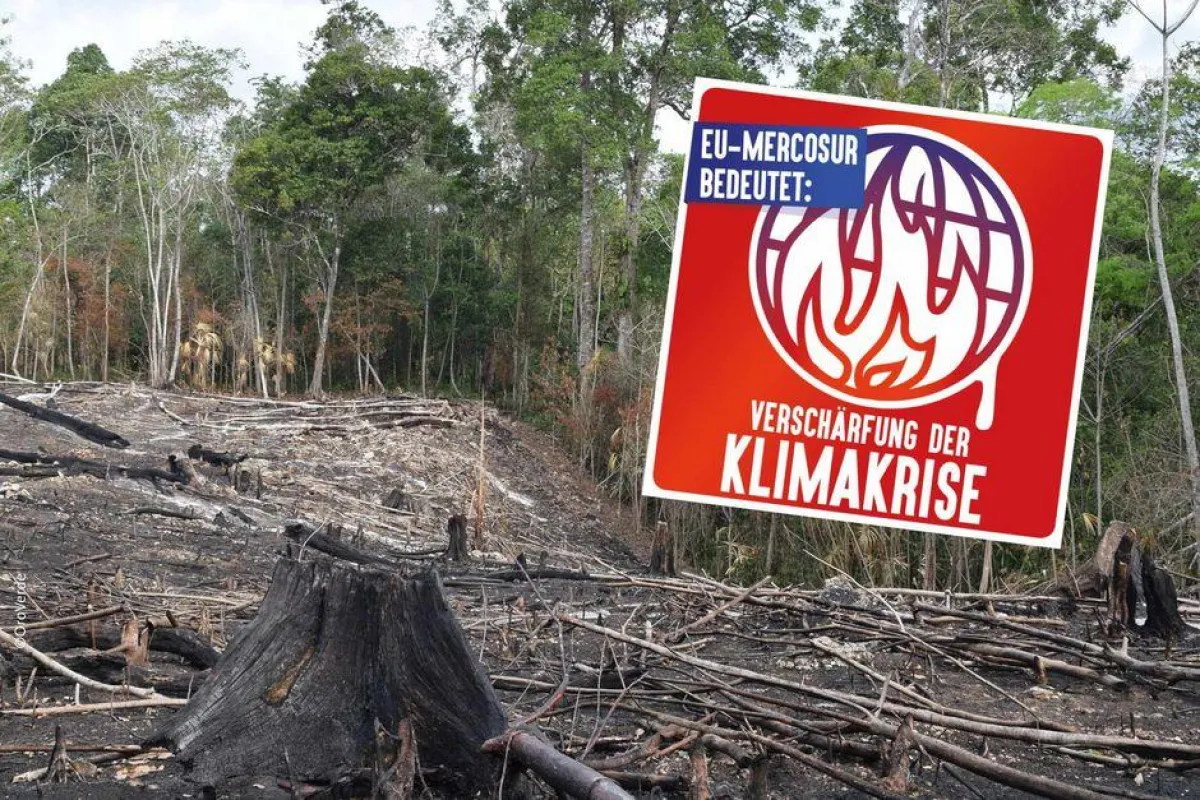 Gemeinsamer Aufruf (Juni 2020) Zeit zum Umdenken – EU-Mercosur-Abkommen stoppen!