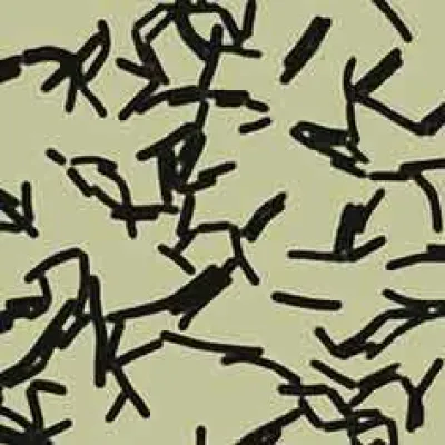 Probiotika oder probiotische Arzneimittel – genaues Hinschauen lohnt sich Bild: Probiotika oder probiotische Arzneimittel – genaues Hinschauen lohnt sich