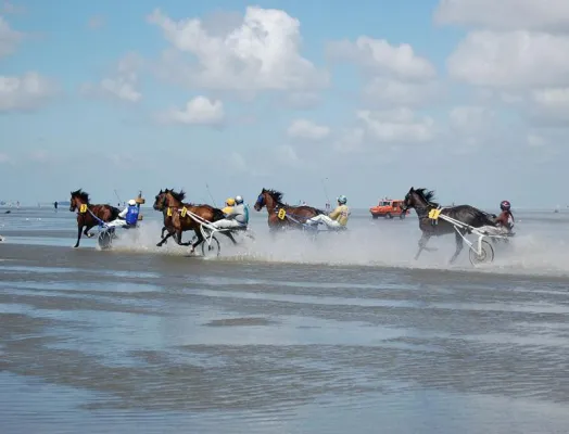 Bild: Veranstaltungs-Höhepunkte 2012 im Nordseeheilbad Cuxhaven