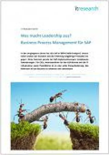 Bild: Business Process Management für SAP: Was macht Leadership aus?
