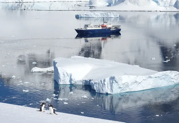Bild: Expeditions-Seereisen in die Antarktis
