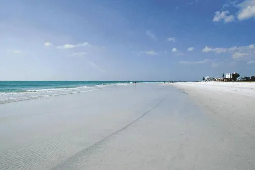Dr. Beach wählt Siesta Beach unter die Top 2 der besten Strände der USA Bild: Dr. Beach wählt Siesta Beach unter die Top 2 der besten Strände der USA