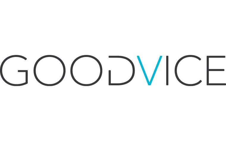 GOODVICE berät bei Flugzeugverkauf Bild: GOODVICE berät bei Flugzeugverkauf