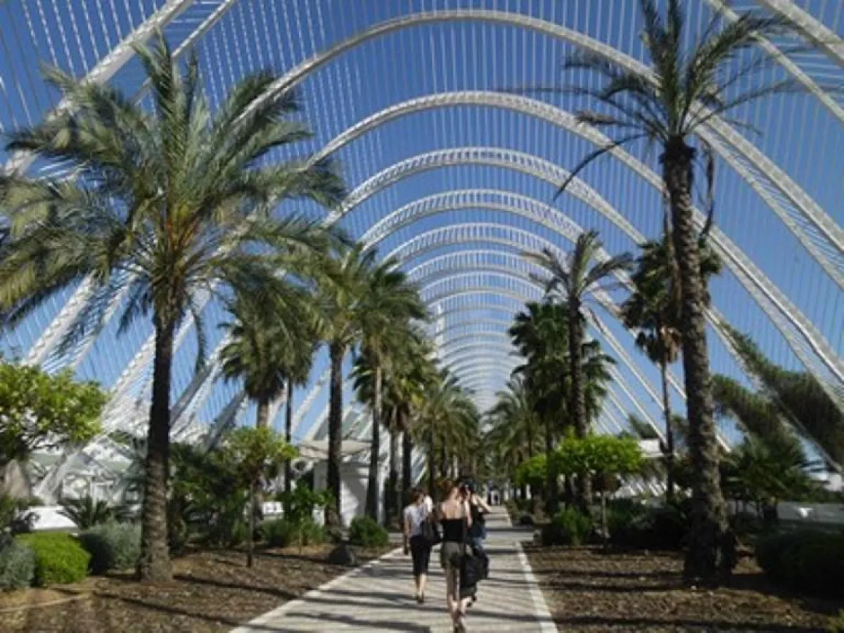 Ciudad de las artes y las ciencias