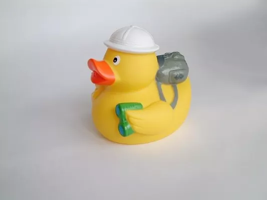 Bild: Die Ente der Saison - Marketing-Newsletter mit wachsender Fan-Gemeinde