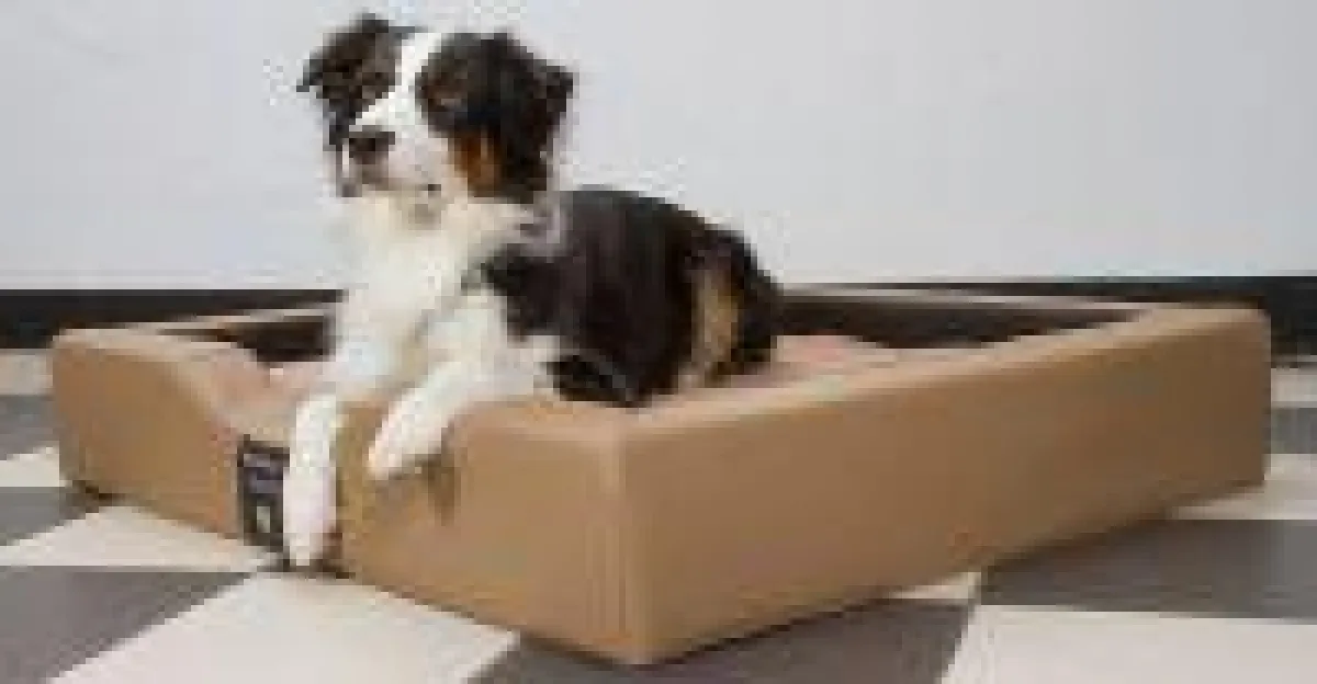 GEL-Hundebett Compact Style