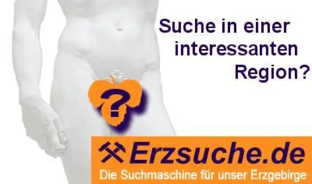 Bild: ERZSUCHE.de, die Erzgebirge-Suchmaschine startet im Weihnachtsland als David gegen Google-Goliath