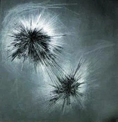 Bild: ab 29.01.: ebenda - mit Arbeiten von Jana Schumacher und Fernando de Brito