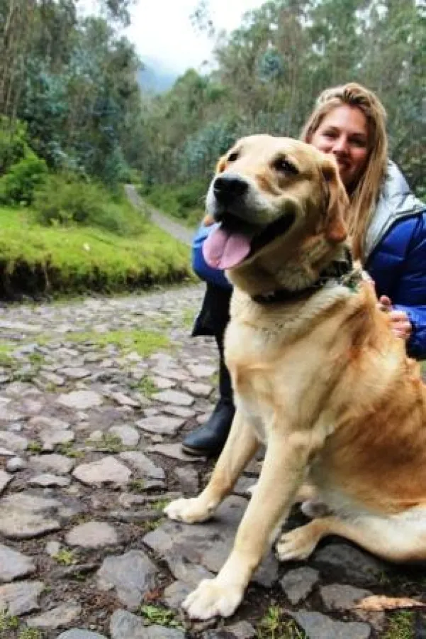 Kleine Verschnaufspause: Frau Schlaumeier mit einem Golden Retriever in fast 3.000 Metern Höhe.