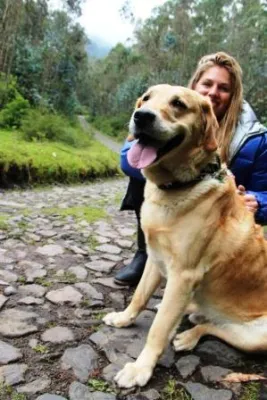 Bild: 32. Tier: Gassi gehen auf 2.900 Metern Höhe