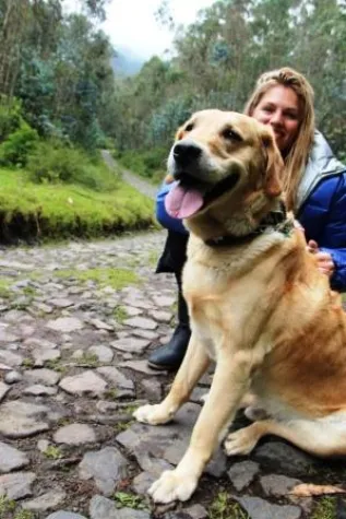 Bild: 32. Tier: Gassi gehen auf 2.900 Metern Höhe