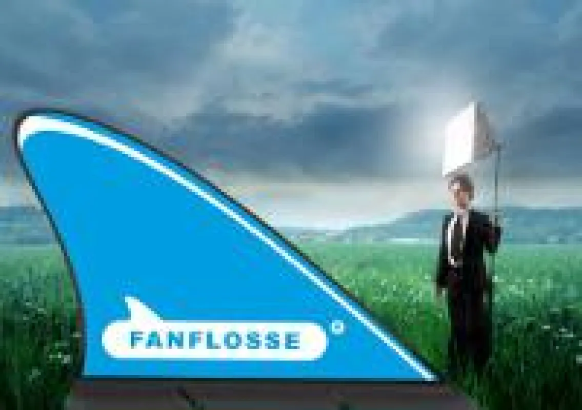 Die Fanflosse® wird zweite beim Innovationspreis Thüringen 2013
