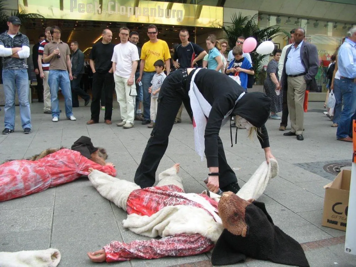 Foto einer früheren Aktion