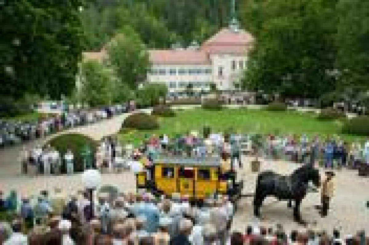 EQUIPAGE BAD ELSTER - Edle Pferde & Historische Kutschen