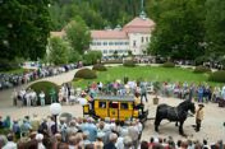 Pfingsten, Pferde, Paukenschlag Bild: Pfingsten, Pferde, Paukenschlag