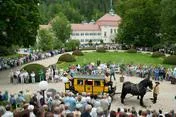 Bild: Pfingsten, Pferde, Paukenschlag